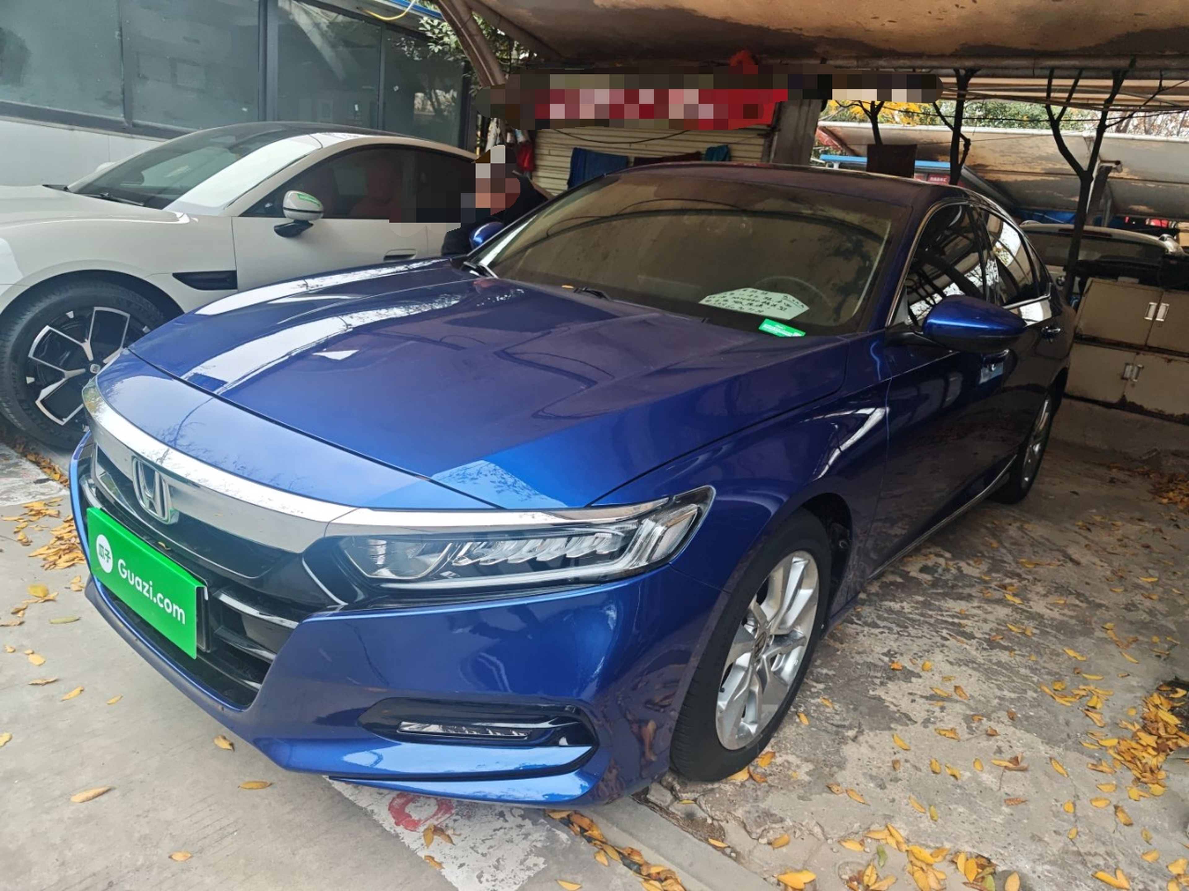 تحت مقدمة السيارة