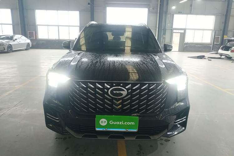 Used GAC Trumpchi GS8 2024 Linghang Series 2.0 TGDI Two-Wheel Drive Luxury Smart Connectivity Version