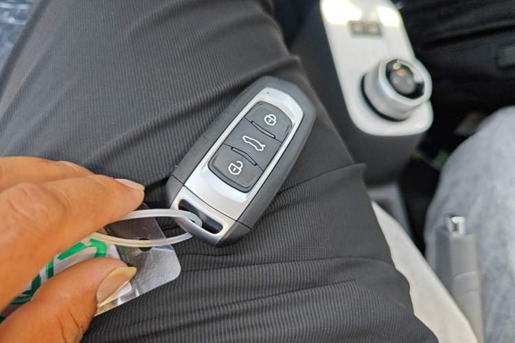 Used  Panda 2025 210 km – Yuanqi Bear
