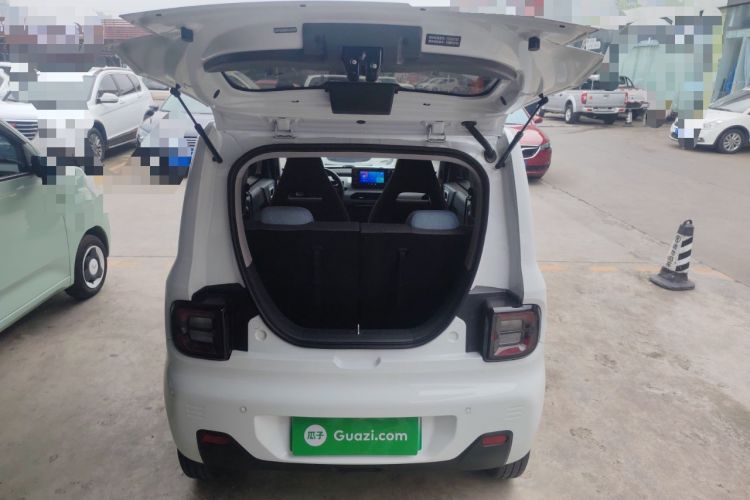 Used  Panda 2024 Panda Mini 200km Endurance Bear
