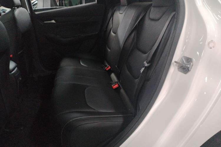 Used Ford Escort 2021 1.5L Automatic Platinum Edition
