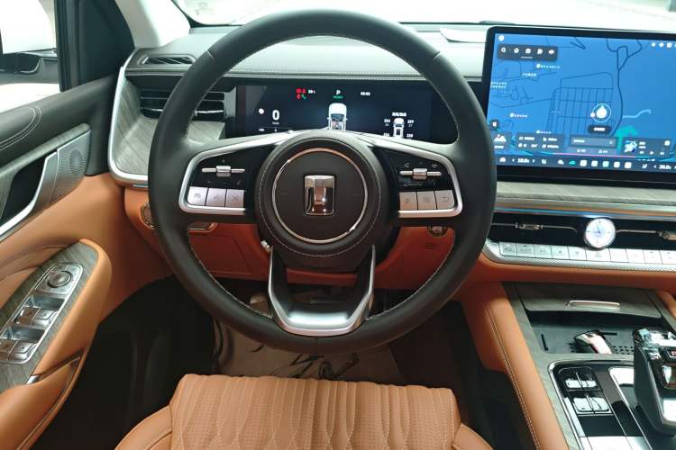 Used Tank 500 New Energy 2025 Hi4-Z
