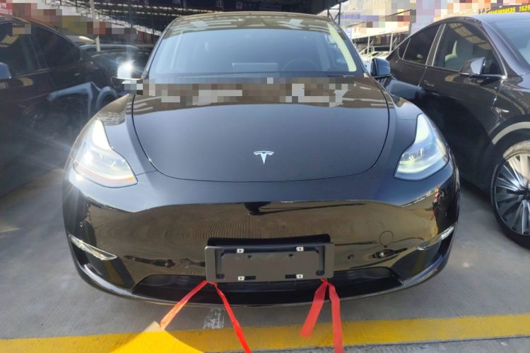 Used Tesla Model Y 2021 Standard Range Rear-Wheel Drive Version
