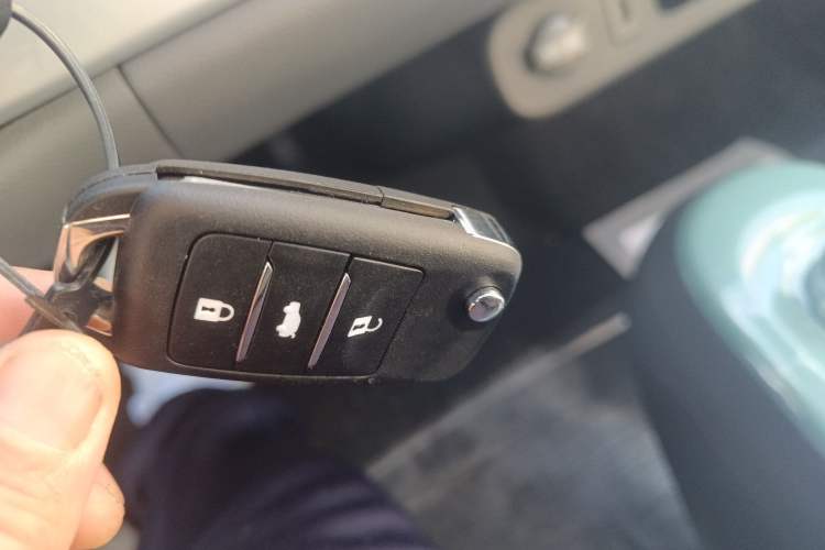 Used  Lumin 2024 130km Qingyue Version