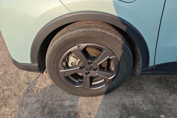 Used Geometry E Firefly 2022 401 km Linglong Tiger 4 Seats
