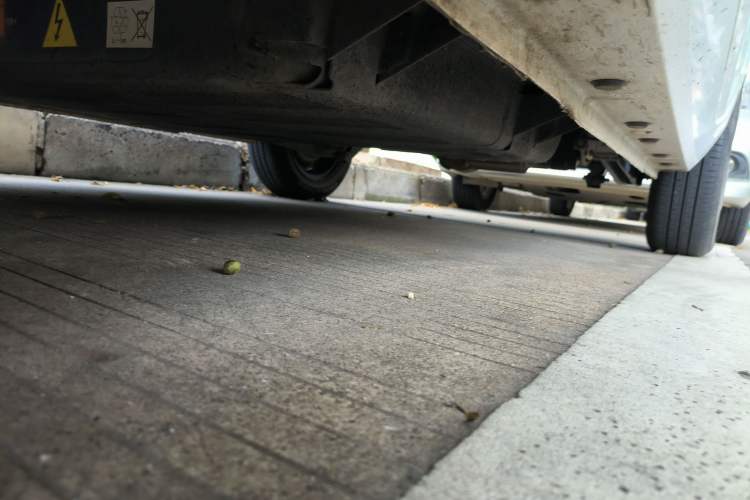 Used  Panda 2023 Panda Mini 200km Endurance Bear
