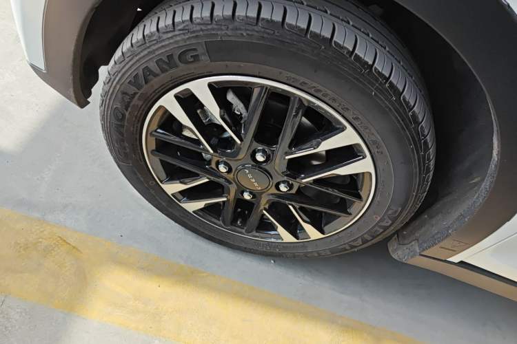 Used Chery Little Ant 2023 301km True Love Plus Version Ternary Lithium