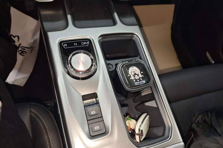 Used Haval DARGO 2024 2.0T DCT Chinese Rural Dog Edition
