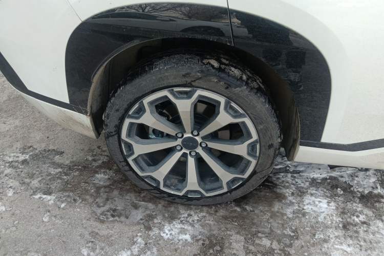 Used AION V 2024 Aion Tyrannosaurus 650 Smart Luxury Edition
