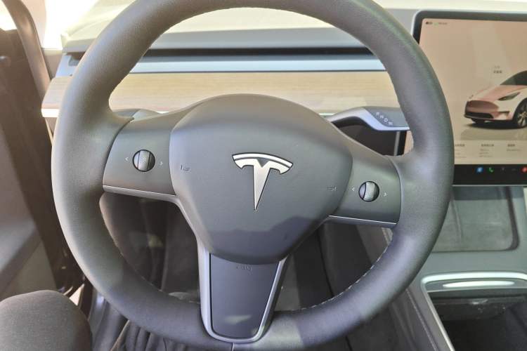 Used Tesla Model Y 2022 Rear-Wheel-Drive Version