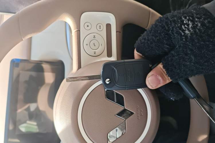 Used Wuling Hongguang MINIEV 2025 Four-Door Version Advanced Edition
