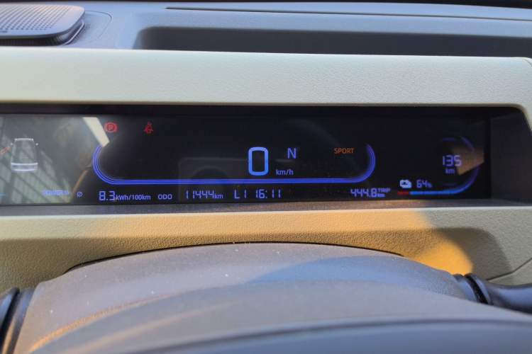 Used  Panda 2024 200km Panda Rider
