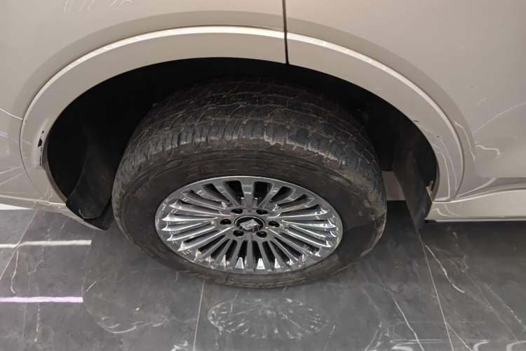 Used Tank 500 New Energy 2024 Hi4-T
