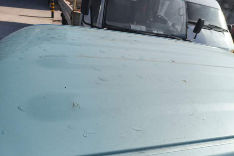 Used  Panda 2024 Panda Mini 200km Endurance Bear
