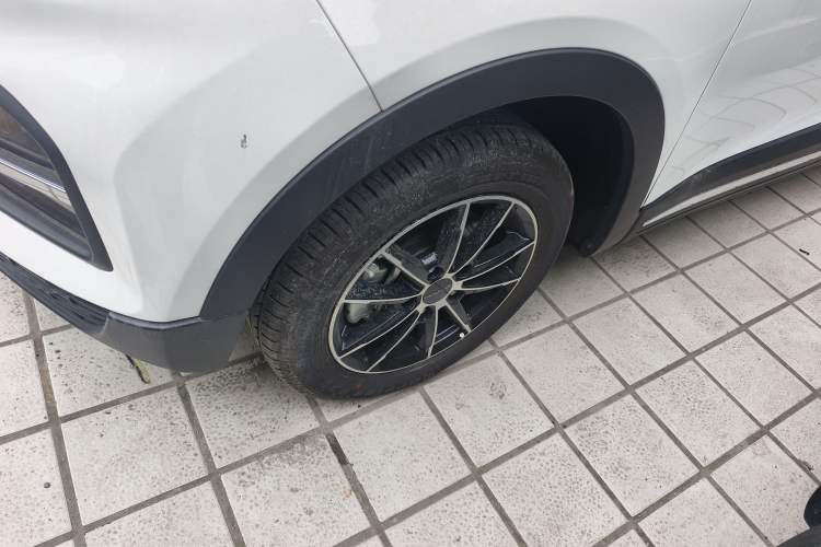 Used Dayun Yuehu 2023 300 Standard Edition