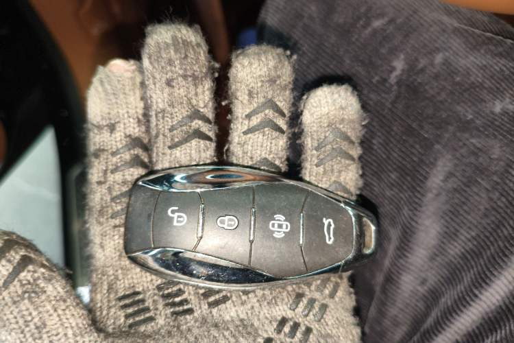 Used Hongqi H9 2025 2.0T Two-Wheel Drive Flagship Luxury Business Edition 5 Seats