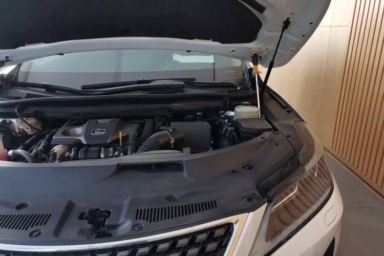 Used Lexus RX 2020 300 Two-Wheel Drive Elite Edition China VI Standard