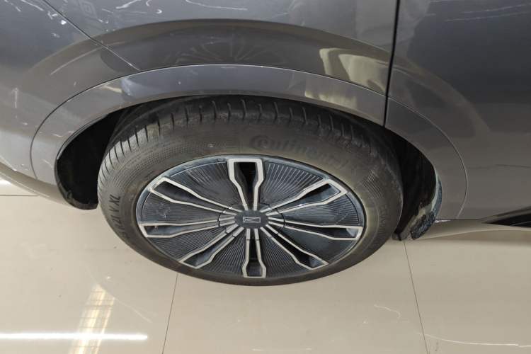 Used  07 2024 Max Extended-Range Edition
