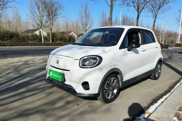 Used Leapmotor T03 2021 400 Lite Edition - Lithium-Ion Battery