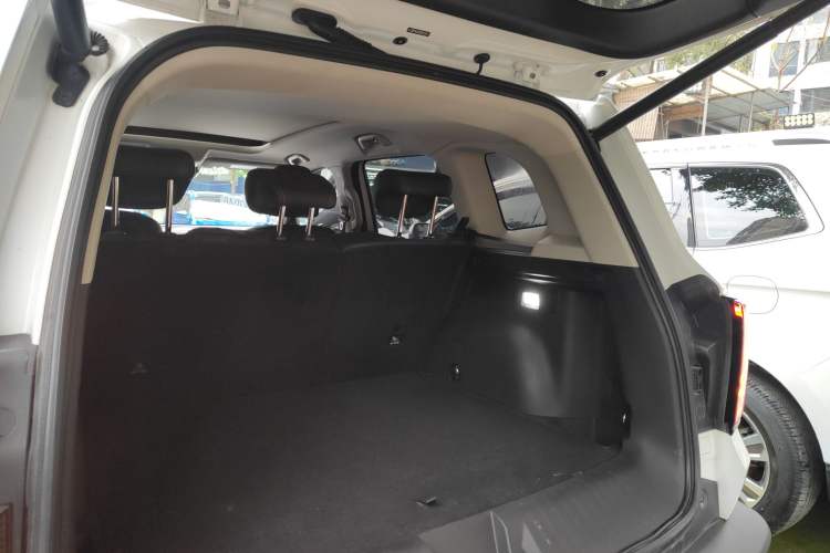 Used Haval DARGO 2021 2.0T DCT 4x4 Chinese Rural Dog Edition
