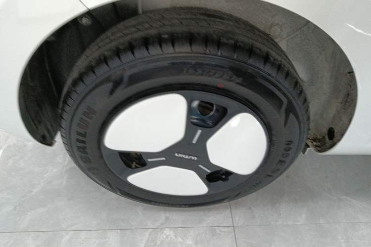 Used  Lumin 2025 205km Refreshing Edition