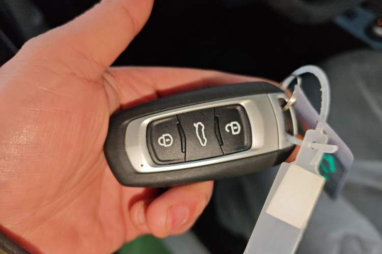 Used  Panda 2024 Panda Mini 200km Endurance Bear
