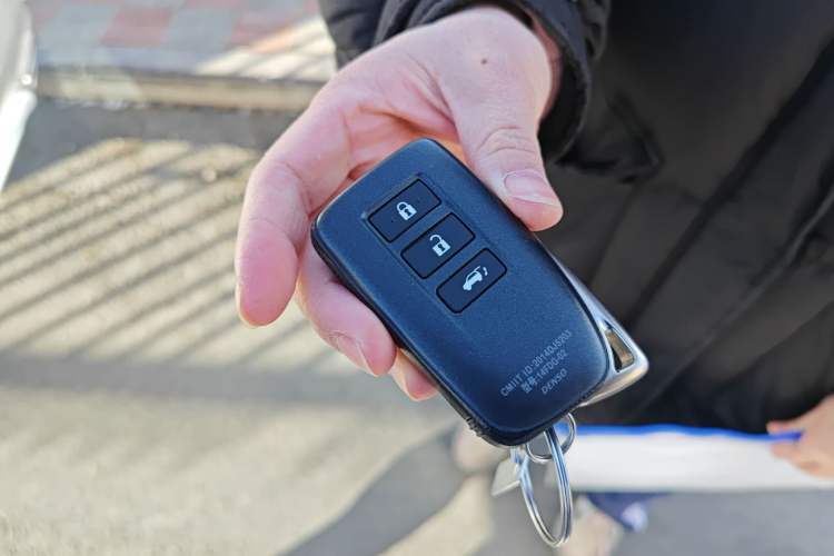 Used Lexus RX 2020 300 4x4 Elegant Edition China VI