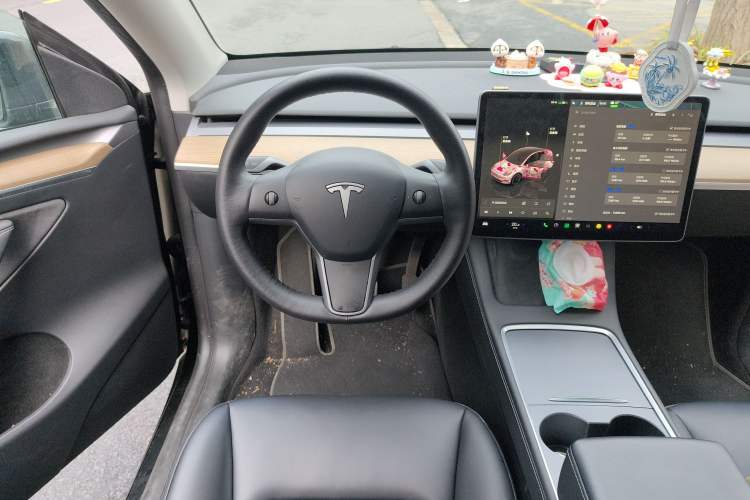 Used Tesla Model Y 2022 Rear-Wheel-Drive Version