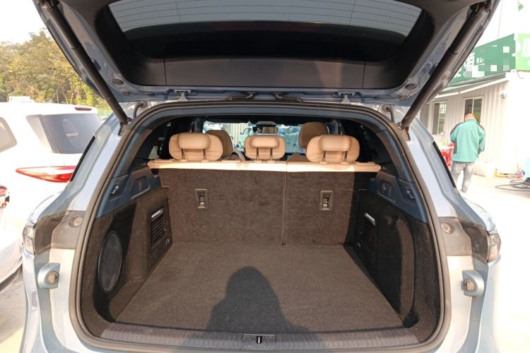 Used VOYAH FREE 2021 Four-Wheel Drive Standard Range-Extended Exclusive Luxury Package