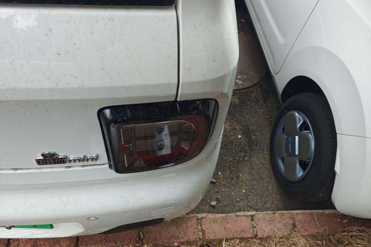 Used  Panda 2024 Panda Mini 200km Endurance Bear
