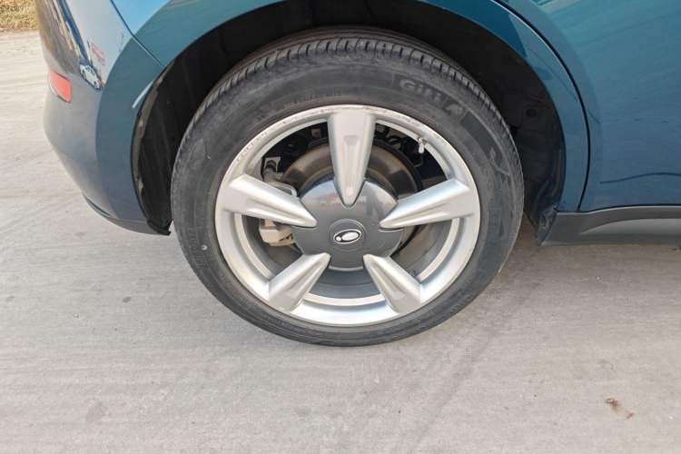 Used ORA Good Cat 2022 Morandi Edition 400km Standard Range Premium Version Lithium-Ion Battery