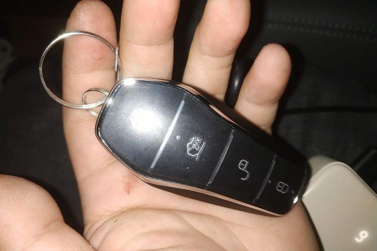 Used BYD Qin PLUS 2025 DM-i Smart Drive 55KM Leading Model
