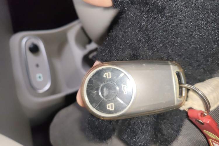 Used ORA Good Cat 2023 401 km Standard Range Luxury Version Lithium Iron Phosphate