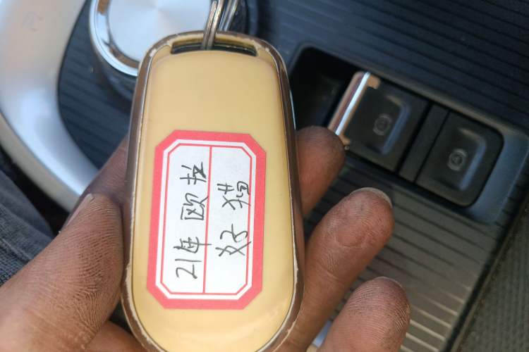 Used ORA Good Cat 2021 400km Standard Range Venus Edition Lithium-Ion Battery
