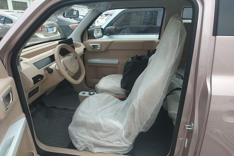 Used  Panda 2024 Panda Mini 200km Longteng PRO Edition
