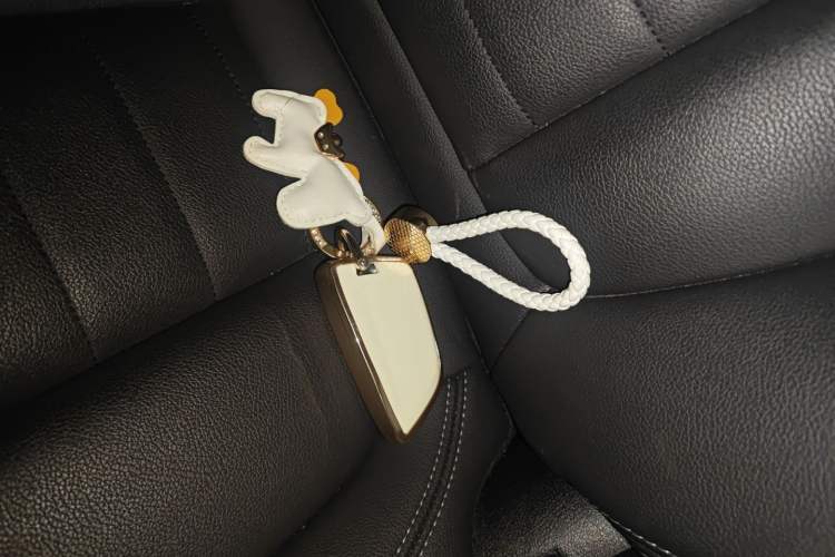 Used BMW 3 Series 2020 320Li M Sport Package
