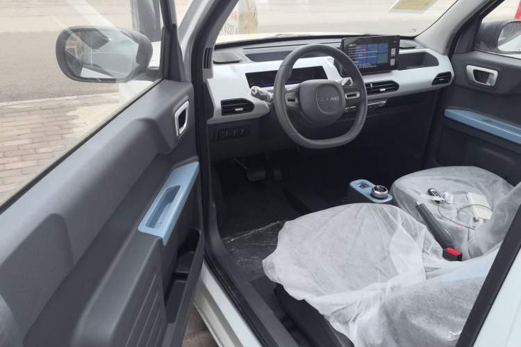 Used  Panda 2024 Panda Mini 200km Endurance Bear
