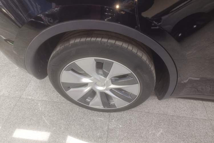 Used Tesla Model Y 2021 Standard Range Rear-Wheel Drive Version
