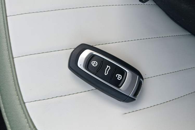 Used  Panda 2025 210km Panda Rider
