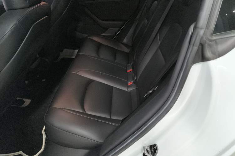 Used Tesla Model 3 2020 Standard Range Rear-Wheel Drive Upgraded Version
