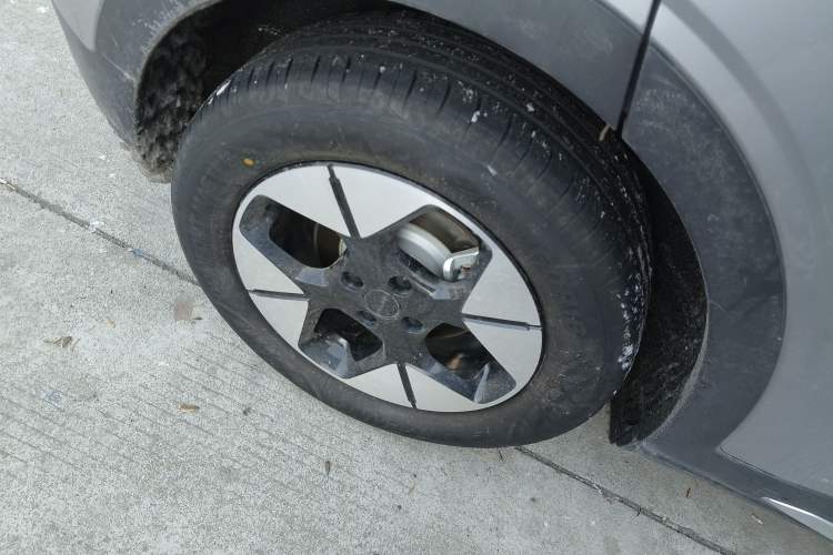 Used  Geome 2025 310km Dream Edition
