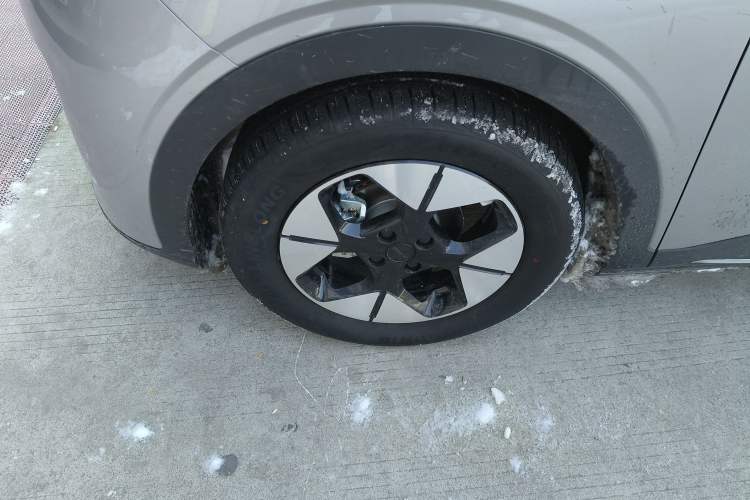 Used  Geome 2025 310km Dream Edition
