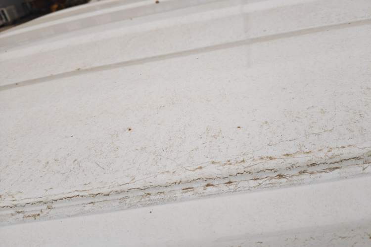 Used  Panda 2024 Panda Mini 200km Endurance Bear