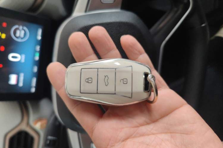 Used SOL E10X 2022 Flower Fairy Design Four-Leaf Clover