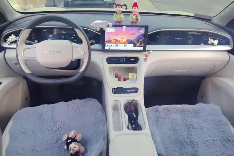 Used Geely Galaxy Geome 2025 310km Youth Edition
