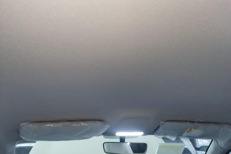 Used  Geome 2025 310km Dream Edition