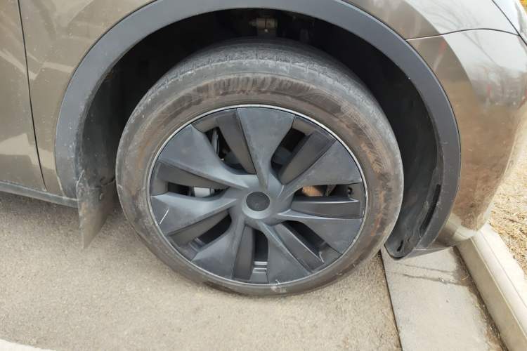 Used Tesla Model Y 2023 Rear-Wheel-Drive Version