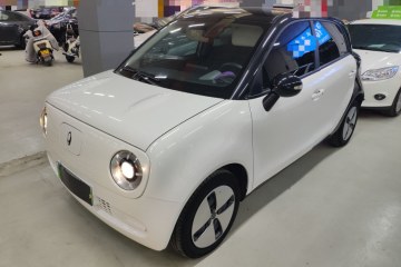 Used ORA Black Cat 2022 301km Base Version Ternary Lithium