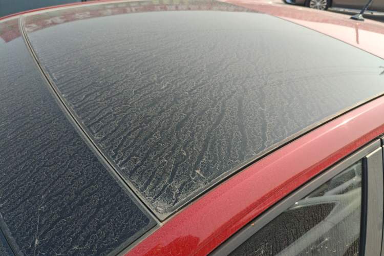 Used Volkswagen Polo 2019 Plus 1.5L Automatic Panoramic Enjoyment Edition