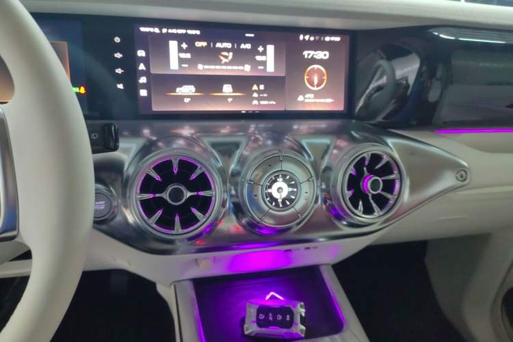 Used  Tank 300 2021 2.0T Cyber Tank
